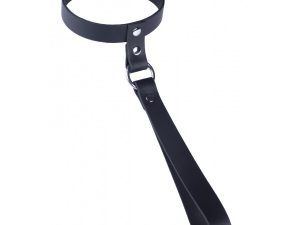 The Red Leather Collar with Short Leash