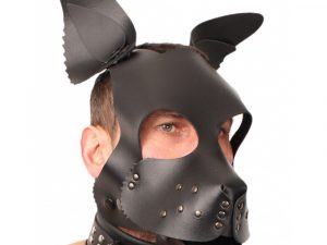 The Red Leather Puppy Dog Mask