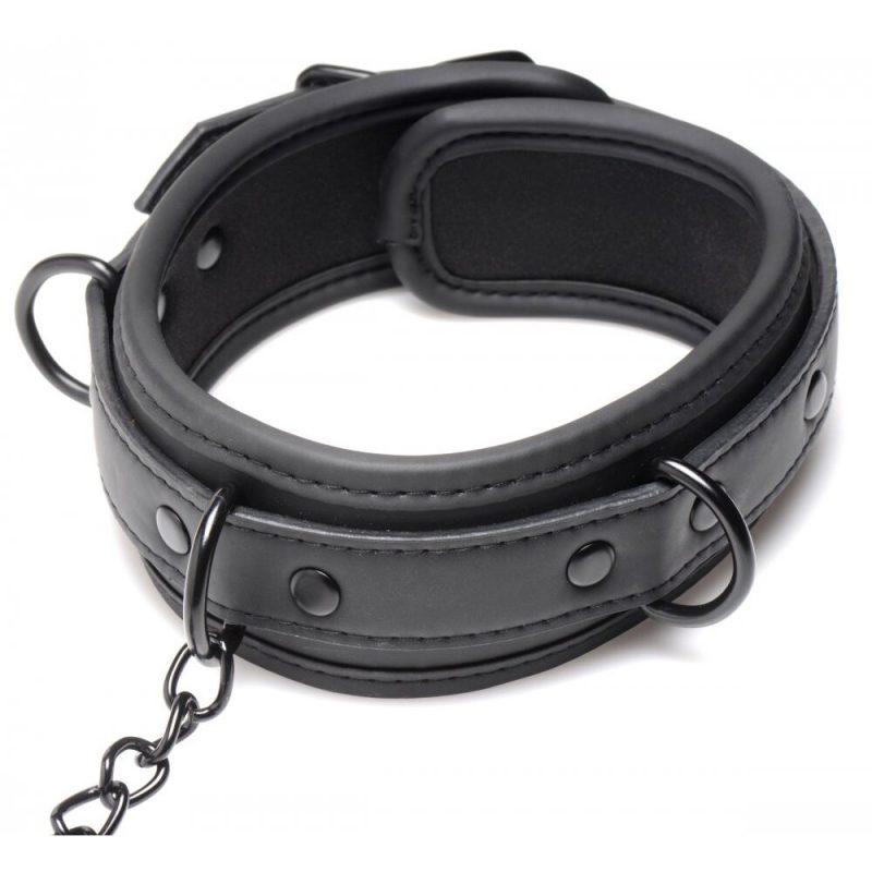 Master Series Collared Temptress - Image 4
