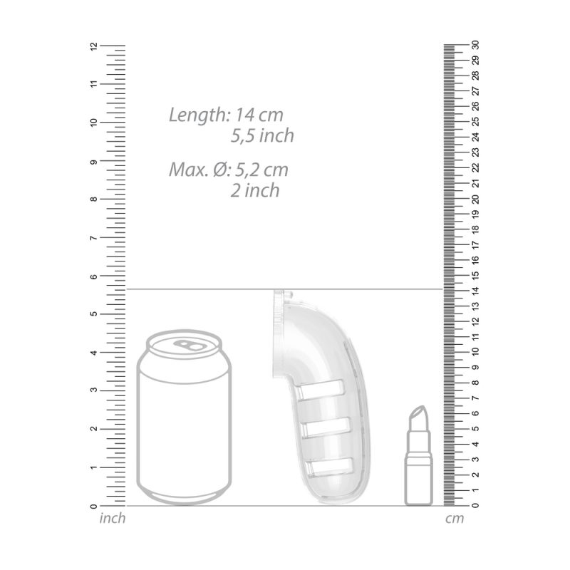 Man Cage 12  Male 5.5 Inch Clear Chastity Cage With Anal Plug - Image 3