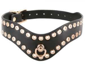 Fetish and Fashion Kali Collar