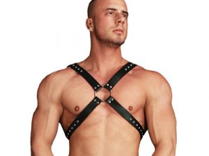 Ouch Adonis High Halter Harness
