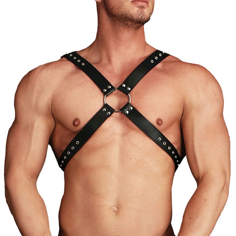 Ouch Adonis High Halter Harness - Image 2
