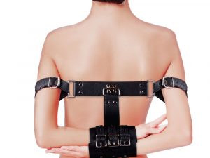 Complete Arm Restraints