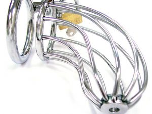 Rouge Stainless Steel Chasity Cock Cage With Padlock