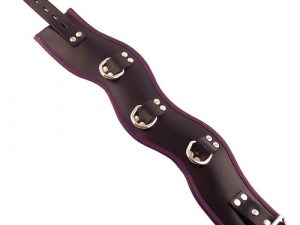 Rouge Garments Black And Purple Padded Posture Collar