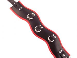 Rouge Garments Black And Red Padded Posture Collar