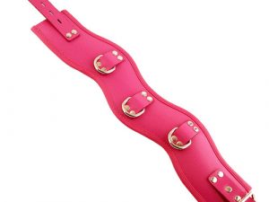 Rouge Garments Pink Padded Posture Collar