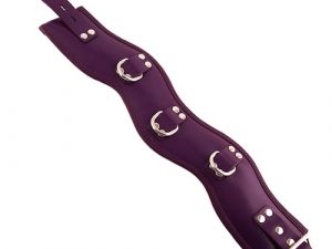 Rouge Garments Purple Padded Posture Collar