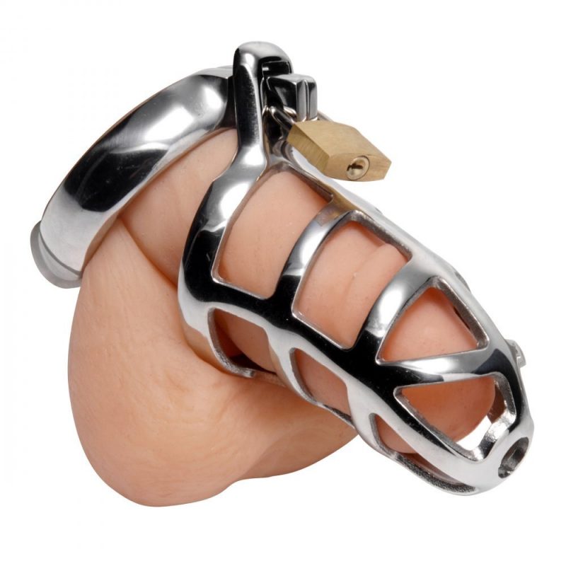 Master Series Chastity Cock Cage - Image 3