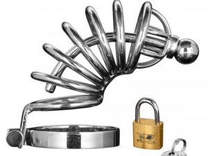 Master Series Asylum 6 Ring Locking Chastity Cage