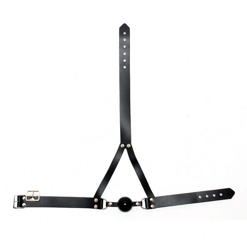 Leather Ball Gag And Head Harness - Image 3