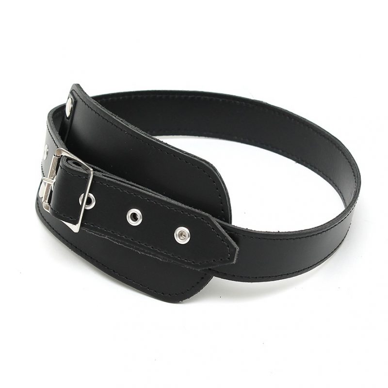 Leather Penis Gag - Image 4