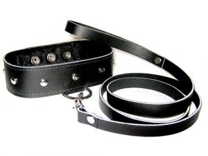 SportSheets Leather Leash And Collar