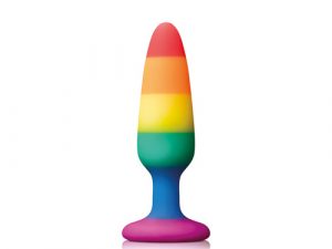 Pride Pleasure Plug Rainbow Small